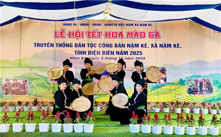 Hoa mào gà - linh hồn trong Tết cổ truyền của người Cống ở Điện Biên