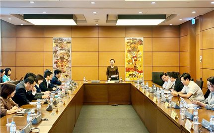 Ưu tiên phát triển hạ tầng và đào tạo nguồn nhân lực chuyển đổi số tại vùng có đông đồng bào DTTS