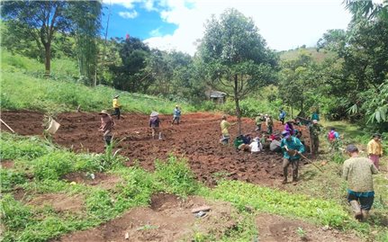 Đồng bào Xơ Đăng chung tay xây dựng vườn ươm cây giống cà phê miễn phí
