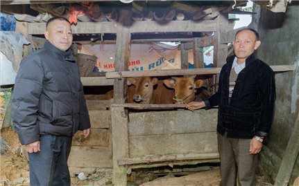 Yên Minh (Tuyên Quang): Sinh kế mới từ Chương trình MTQG Giảm nghèo bền vững