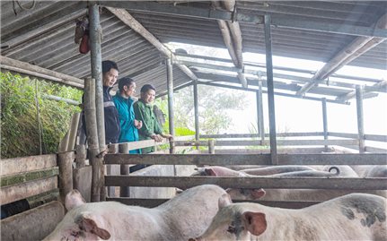 Cán Tỷ: Khi nguồn lực đầu tư triển khai đúng và trúng