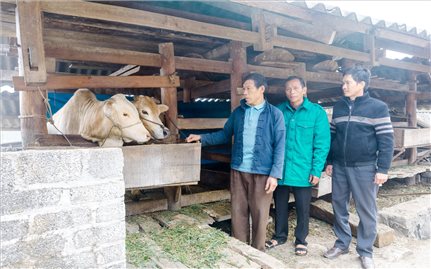 Đổi thay nhờ Chương trình MTQG Giảm nghèo bền vững ở Cán Tỷ