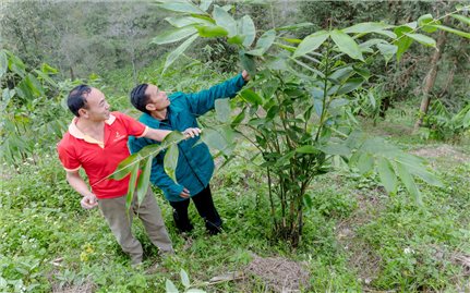 Hướng xóa nghèo cho người dân vùng biên Cán Tỷ