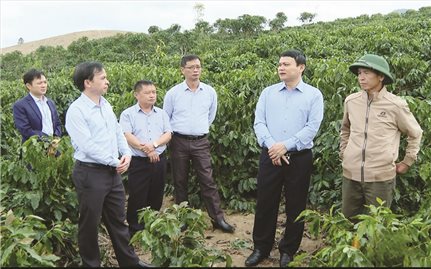 Sơn La: Chủ động giữ vững thành quả để giảm nghèo bền vững