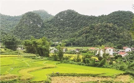 Cao Bằng: Chăm lo đội ngũ “gánh kỳ vọng, giữ niềm tin” ở vùng DTTS