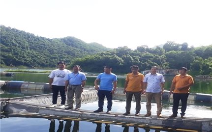 Phú Thọ phát huy hiệu quả mô hình Tổ khuyến nông cộng đồng - Động lực thúc đẩy sản xuất nông nghiệp bền vững