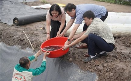 Nhiều giải pháp bảo đảm nguồn cung sản phẩm chăn nuôi cuối năm 2025