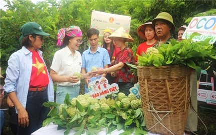 Thái Nguyên thành công với mô hình “Vườn na Võ Nhai trên môi trường số”