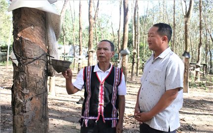 Biểu tượng cho sự đoàn kết, ý chí vươn lên ở Ngọk Tụ