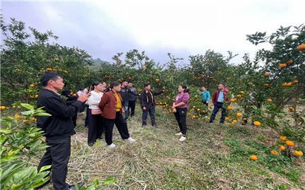 Bằng Mạc (Lạng Sơn): Triển khai nhiều dự án thuộc Chương trình MTQG phát triển kinh tế - xã hội vùng đồng bào DTTS và miền núi