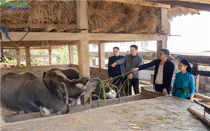 Tuyên Quang: An cư từ Dự án 5, người dân xã Tân Tiến thêm động lực thoát nghèo