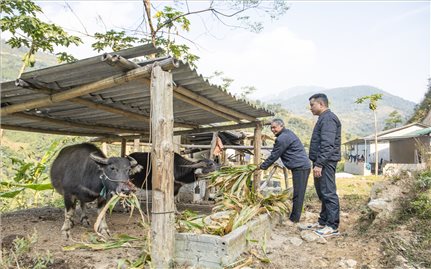 Đổi thay từ những mô hình sinh kế bền vững ở Tuyên Quang