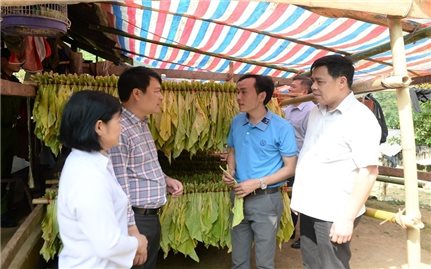 Cao Bằng: Tạo nền tảng phát triển bền vững cho đồng bào dân tộc Mông