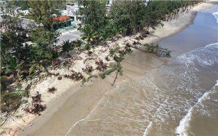 Bãi biển đẹp nhất Quảng Ngãi có nguy cơ “biến mất”