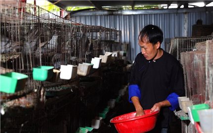 Cầu nối ý Đảng - lòng dân dưới chân Hoàng Liên