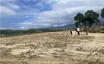 Đà Nẵng khẩn trương xử lý đất sản xuất bị bồi lấp sau thiên tai