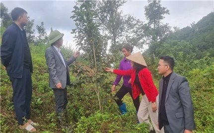 Chương trình MTQG Giảm nghèo bền vững ở Hùng (Lạng Sơn): Truyền thông - “chìa khóa” nâng cao hiệu quả giảm nghèo (Bài 2)