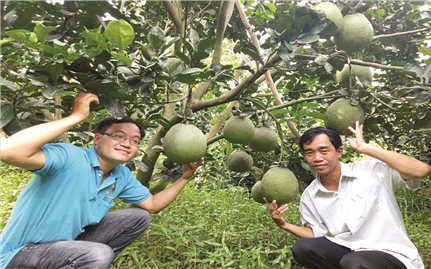 Bước chuyển mình của nông sản trong kỷ nguyên số