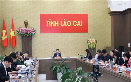 Lào Cai: 100% xã, phường đã thành lập Ban Chỉ đạo và Ủy ban bầu cử
