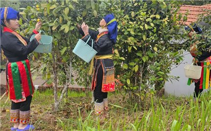 Quảng Ninh không còn hộ nghèo theo chuẩn nghèo tiếp cận đa chiều