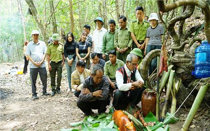 Gia Lai: Đồng bào Gia Rai ở xã Ia Pếch tạ ơn Thần rừng