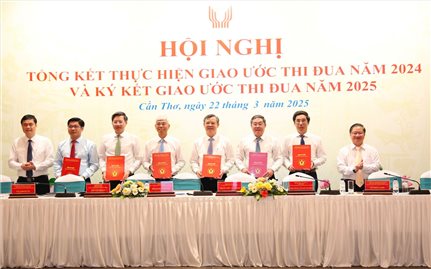 Cụm thi đua các thành phố trực thuộc Trung ương tổ chức Hội nghị Tổng kết công tác giao ước thi đua năm 2024