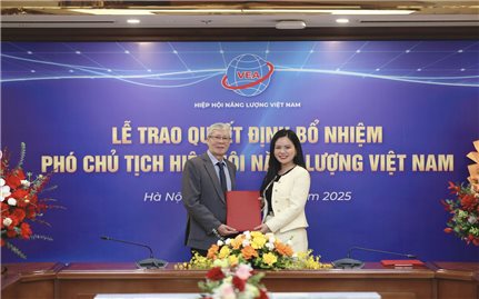 Phó tổng Giám đốc T&T Group làm Phó Chủ tịch Hiệp hội Năng lượng Việt Nam