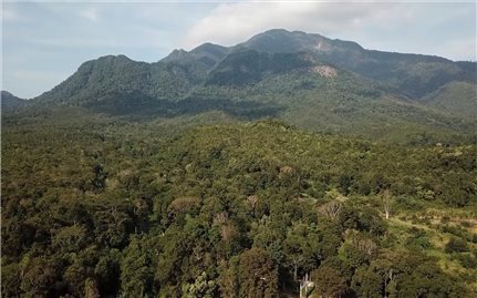 Kon Tum: 13.000 ha rừng đặc dụng không thể tiếp tục giao khoán cho cộng đồng bảo vệ theo Chương trình MTQG 1719