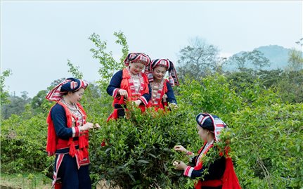 Sắc màu trong trang phục của phụ nữ người Dao đỏ ở Hoàng Su Phì