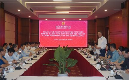 Rà soát, đánh giá cụ thể từng dự án thuộc Chương trình MTQG 1719