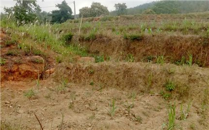 Nông dân vùng cao Bình Liêu “đứng ngồi không yên” vì thiếu nước sản xuất