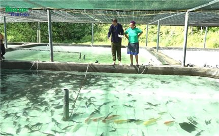 Người đưa con cá tầm lên đại ngàn Nà Hẩu