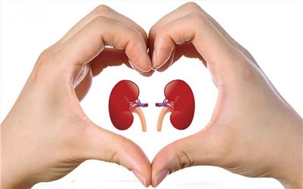 Cách phòng ngừa suy thận bạn nên biết