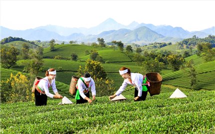 Gấp rút điều chỉnh Chương trình MTQG 1719