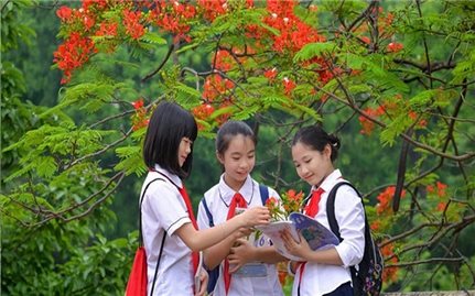 Thủ tướng chỉ đạo 3 vấn đề nóng trong giáo dục