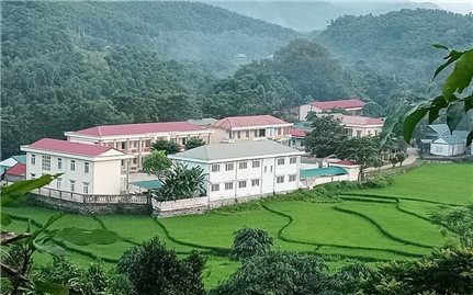 Thanh Hóa cho phép bố trí Tỉnh ủy viên làm Bí thư cấp xã