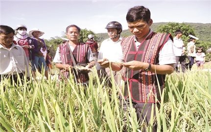 Cú hích chiến lược làm thay đổi diện mạo vùng đồng bào dân tộc thiểu số: Góp phần củng cố khối đại đoàn kết toàn dân tộc - (Bài cuối)