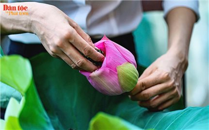 Đánh thức tiềm năng du lịch từ sản vật quê Bác