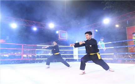 Du khách mãn nhãn với những trận đấu trong “Đêm võ đài Bình Định”