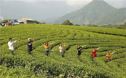 Định vị thương hiệu 