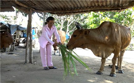 Khánh Hòa: Phấn đấu mức giảm tỷ lệ nghèo đa chiều năm 2025 đạt từ 1 - 1,5%/năm