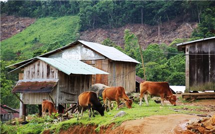 Rào cản thoát nghèo do chồng lấn địa giới hành chính: Đồng bào cần sớm được an cư lạc nghiệp (Bài cuối)
