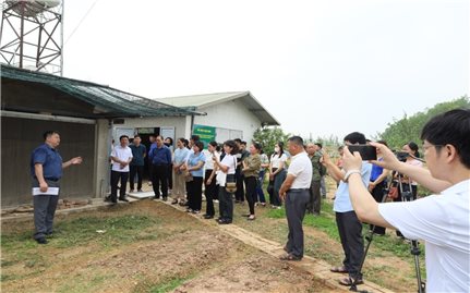Xây dựng vùng chăn nuôi an toàn dịch bệnh: Chìa khóa nâng cao năng lực cạnh tranh ngành chăn nuôi Việt Nam