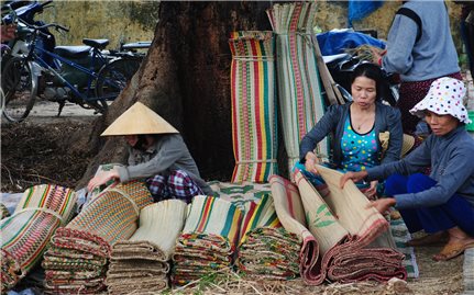 Bình Định: Đào tạo nghề nông nghiệp cho 2.000 lao động nông thôn năm 2025