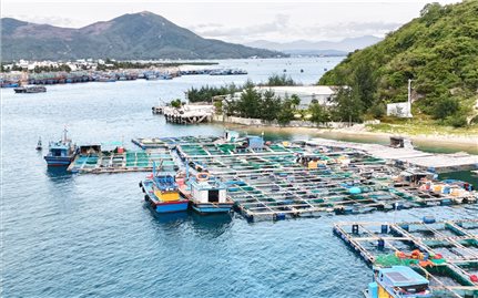 Bình Định: Lập quy hoạch khu đô thị, nghỉ dưỡng, bến siêu du thuyền 5.200 ha