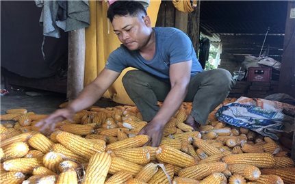 Trưởng thôn 
