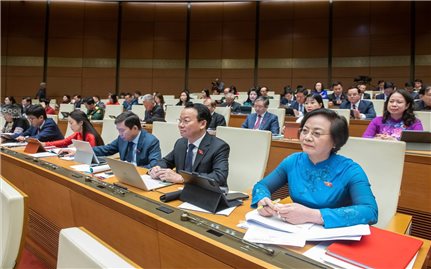 Giải quyết 99,95% kiến nghị cử tri gửi đến Kỳ họp thứ 8, Quốc hội khóa XV