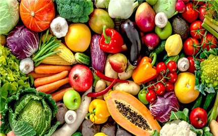 Chế độ dinh dưỡng cho người viêm da cơ địa