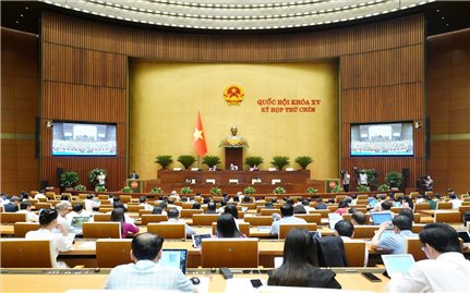Hỗ trợ tạo việc làm, duy trì, mở rộng việc làm đối với người dân tộc thiểu số
