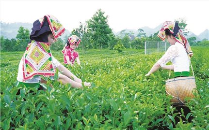 Thoát nghèo nhờ Chương trình MTQG 1719